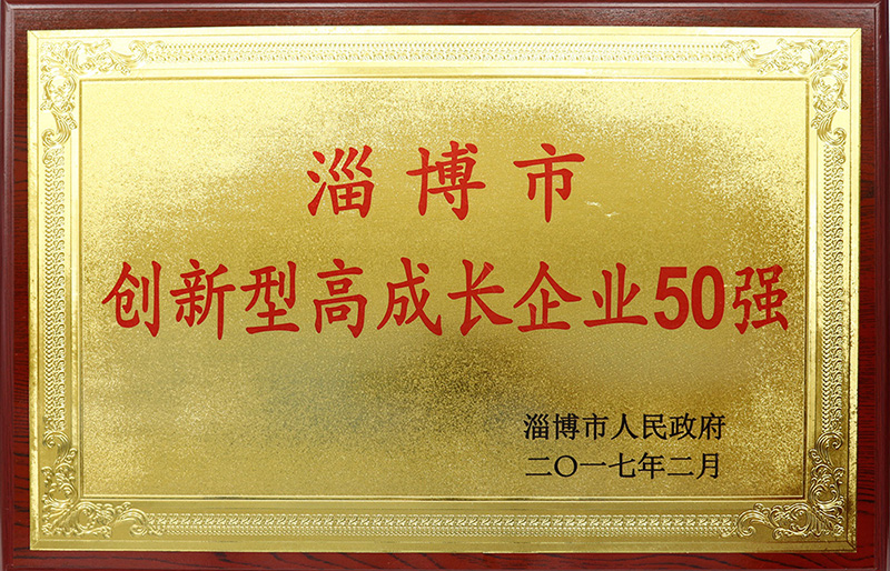 創(chuàng)新型告成長(zhǎng)企業(yè)50強(qiáng)